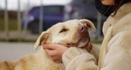 Lüleburgaz’ın Hachiko’su!