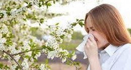 Polen alerjisinden kurtulmanın yolu yağlarda