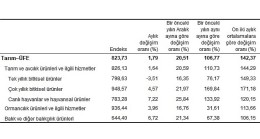 TÜİK: Tarım ürünleri üretici fiyat endeksi (Tarım-ÜFE) yıllık %106,77, aylık %1,79 arttı