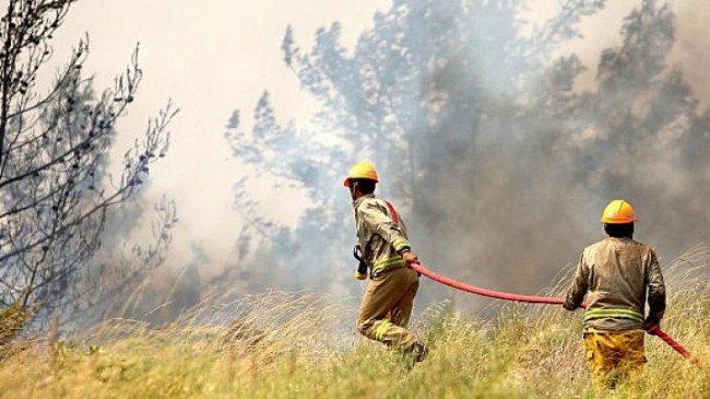 Orman yangınlarıyla mücadelesinde OGM’ye ödül