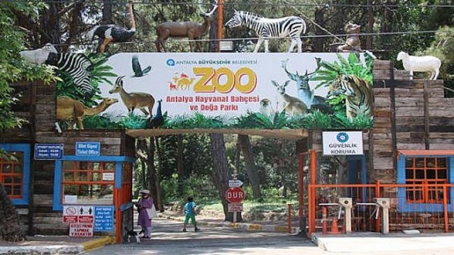 Antalya Hayvanat Bahçesi ziyarete kapatıldı