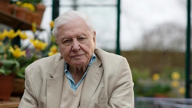 Sir David Attenborough ile Doğal Dünyanın Olağanüstü Seslerini Dinlemeye Davetlisiniz