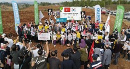 Yanan ormanlarımız Türkiye-Kore dostluğuyla yeniden yeşeriyor