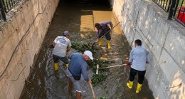 Kemer Belediyesi, Kiriş Mahallesindeki Dere İçerisinde Temizlik Yaptı