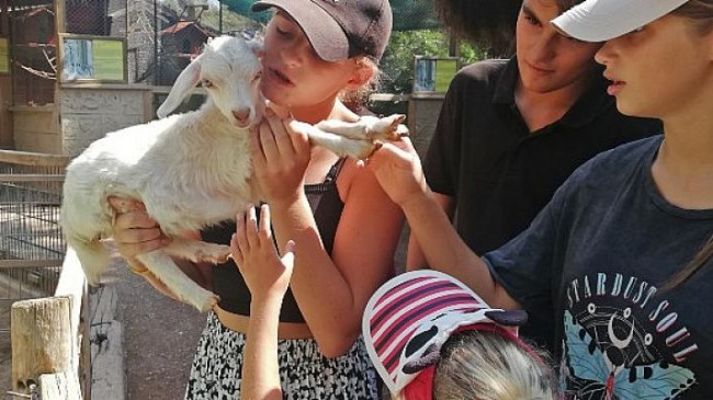 Savaş mağduru Ukraynalı çocuklar hayvanat bahçesini gezdi