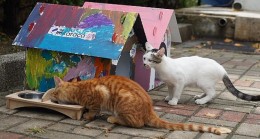 Çocuklar Karaca’nın Kedi Evlerini Patili Dostları için Renklendirdi