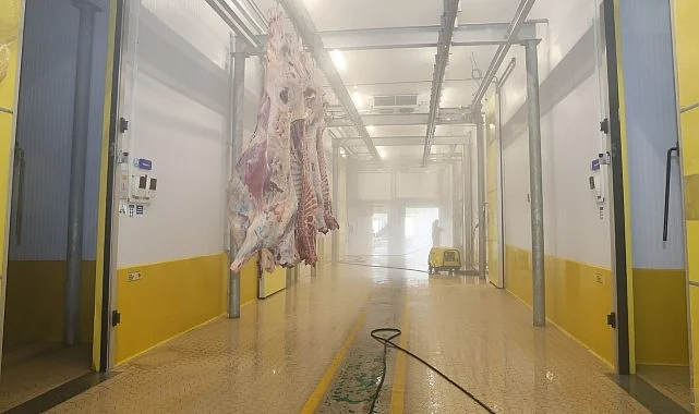 Büyükşehir Mezbahası’nda hijyenik ve helal kesim