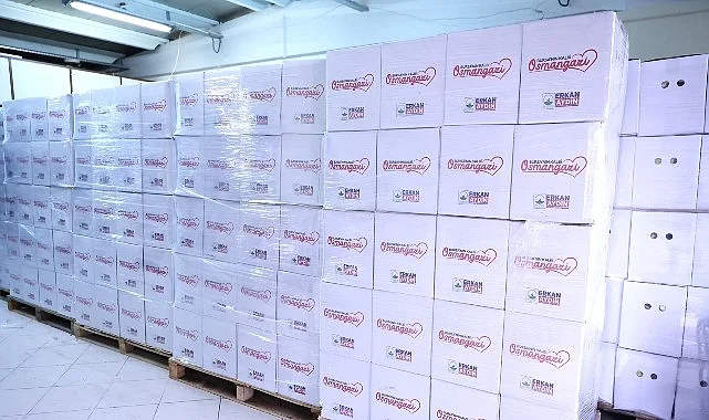 Osmangazi’de Ramazan Kolisi Dağıtımı Devam Ediyor