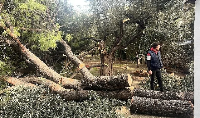 Şiddetli Fırtına Nedeniyle Yaşanan Olumsuz Durumlara Milas Belediyesi Anında Müdahale Etti