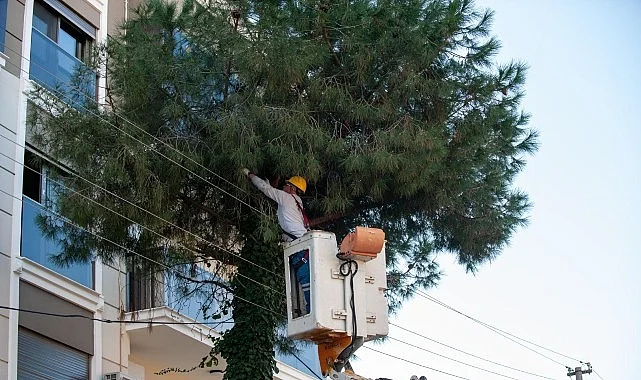 Karşıyaka’da budama seferberliği: Ağaçlar bahara hazırlanıyor