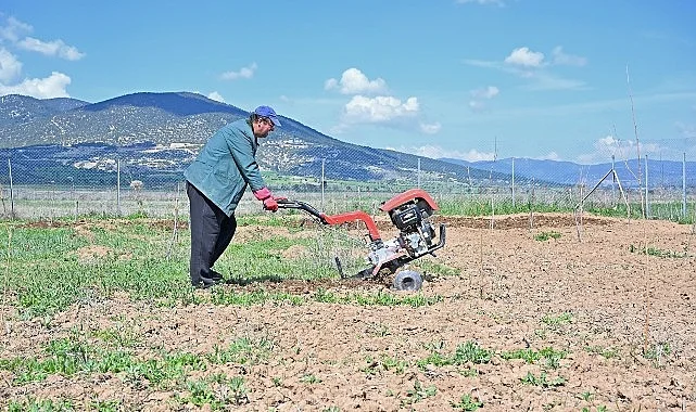 Büyükşehir ipek böceği yetiştiriciliğini yaygınlaştırıyor