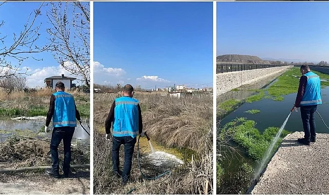 Haşereyle mücadele aralıksız sürüyor