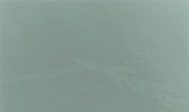 İzmir Körfezi’nde kirlilik alarmı: Aynı tehdit 11. kez görüldü