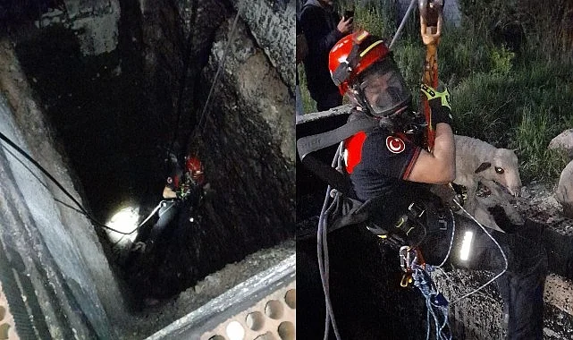 Kuyuya düşen kuzuya itfaiyeden nefes kesen kurtarma