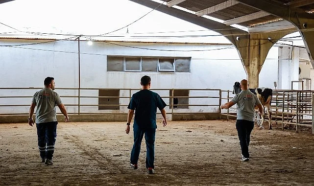 Büyükşehir’in kurban yakalama timi göreve hazır