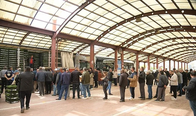 Kahramankazanlı Çiftçilere Fide Desteği Verildi