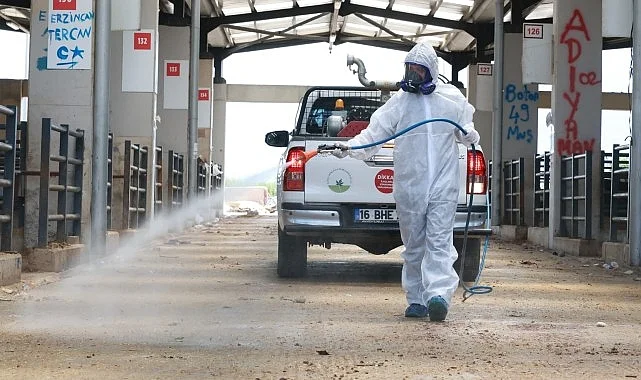 Osmangazi’de Kurban Pazarları İlaçlanarak Dezenfekte Edildi
