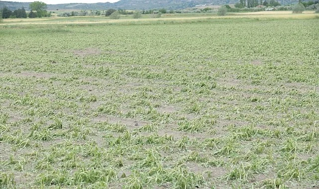 Kahramankazan’da Sağanak ve Dolu Hayatı Felç Etti!