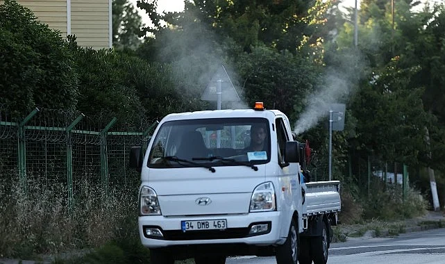 Küçükçekmece’de Sivrisineklere Karşı Mücadele Yoğunlaştı