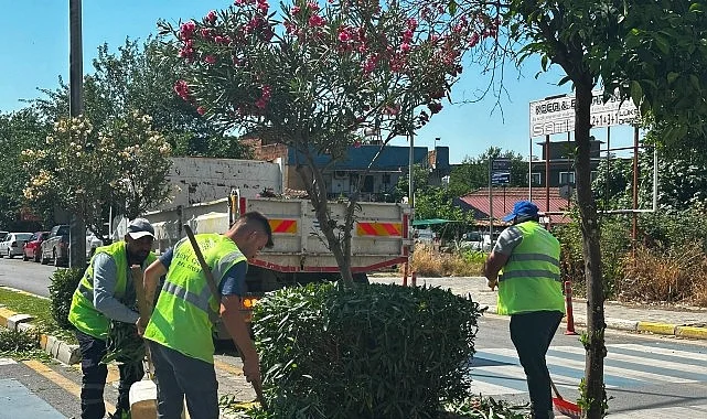Tepecik Mahallesi Muhtarından Başkan Çerçioğlu’na Hizmet Teşekkürü