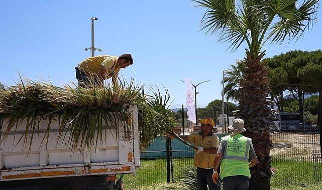 Başkan Çerçioğlu Öncülüğünde Kuşadası’nda Yeşil Alanlarda Kapsamlı Bakım ve Düzenleme Çalışması