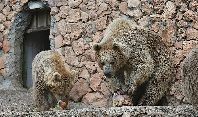 Doğal Yaşam Parkı’nda serinleten öğün uygulaması