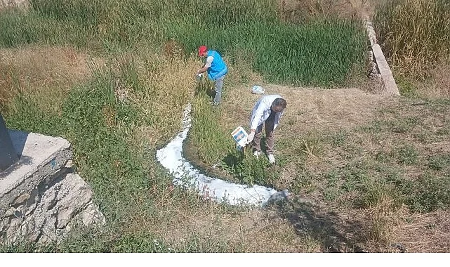 Haşerelere Karşı İlaçlama Çalışmaları Sürüyor