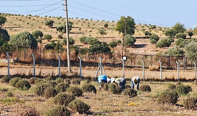 Didim Belediyesi Üretiyor, Didim Güzelleşiyor