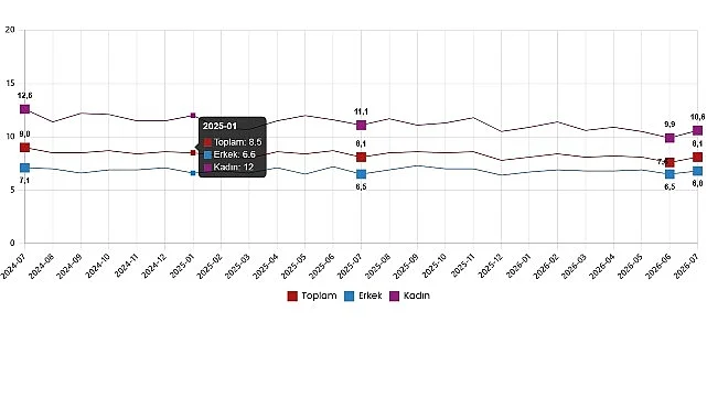 İşgücü İstatistikleri, Temmuz 2026