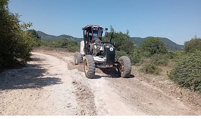 Kandıra Belediyesi’nden Fındık Hasadı Öncesi Üreticiye Yol Desteği