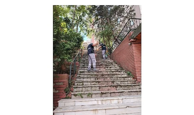 Maltepe Belediyesi’nden Altıntepe’de temizlik harekâtı