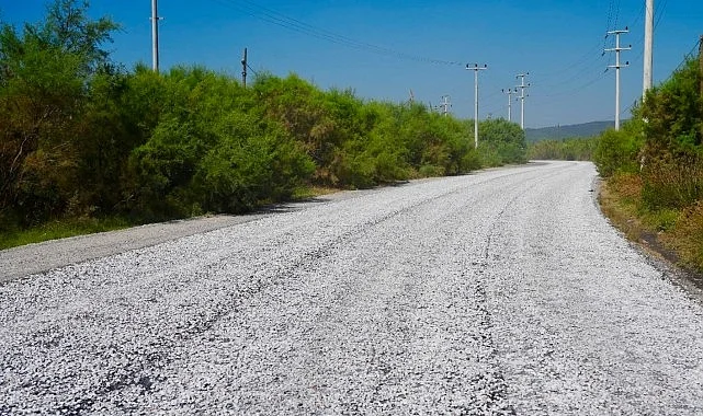 Sathi Kaplama Seferberliği Avşar Mahallesi’nden Başladı