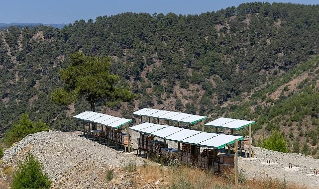 Yenişehir’de 3 Bin 600 dekarlık arı cenneti