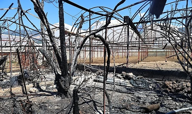 Büyükşehir Kaş’ta yangınzedelerin yanında