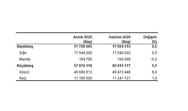 Hayvancılık İstatistikleri, Haziran 2026