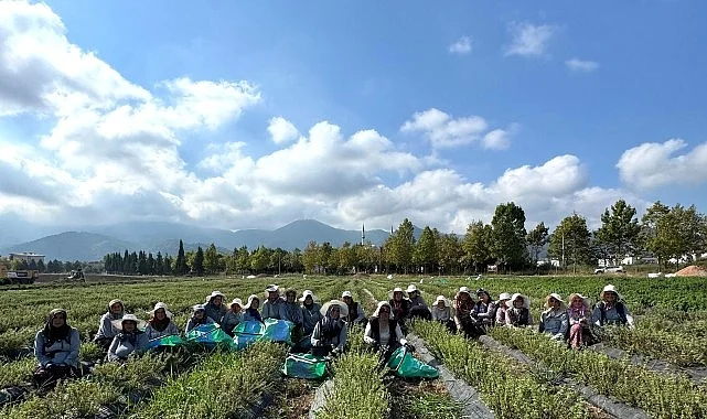 TABİP’te üretimden markalaşmaya uzanan hasat