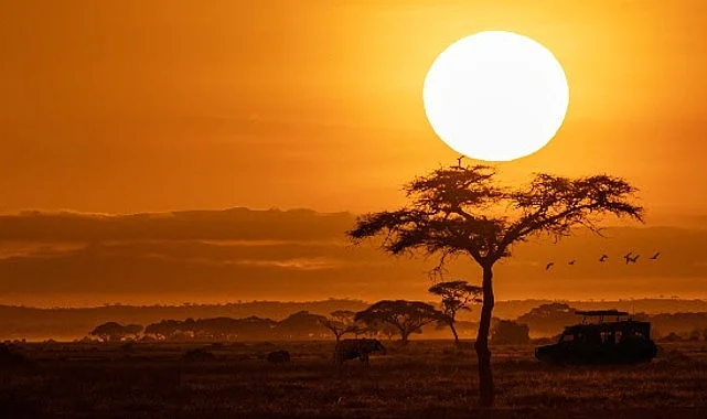 National Geographic NOW Seç-İzle Servisinin Ekim Ayı Teması ‘Afrika’!